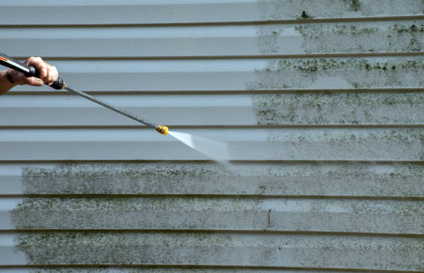 Best Deck and Patio Pressure Washing in Leitchfield, KY